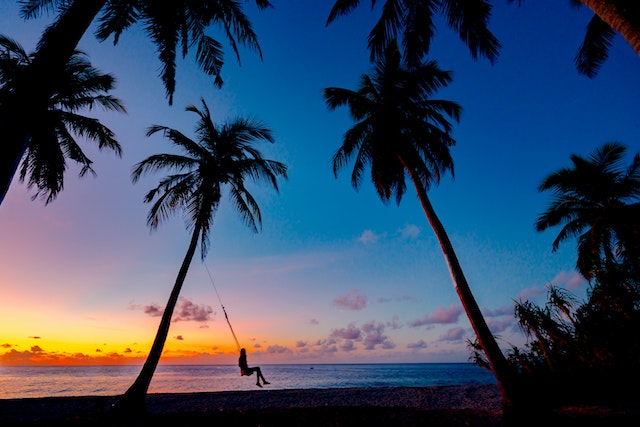 A picture of palm tree, sunset