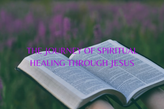 Person holding open bible near lake during daytime