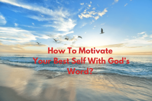 Five birds flying on the sea