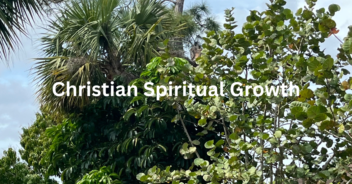Tree represent spiritual growth