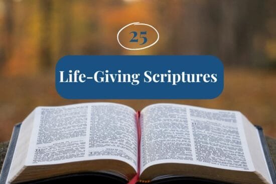 Open Bible outdoors with autumn colors, symbolizing live in God's grace and life-giving scriptures