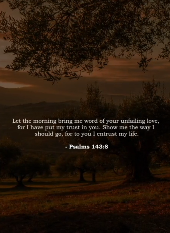 "Let the morning bring me word of your unfailing love, for I have put my trust in you. Show me the way I should go, for to you I entrust my life.” -Psalm 143:8 (NIV)