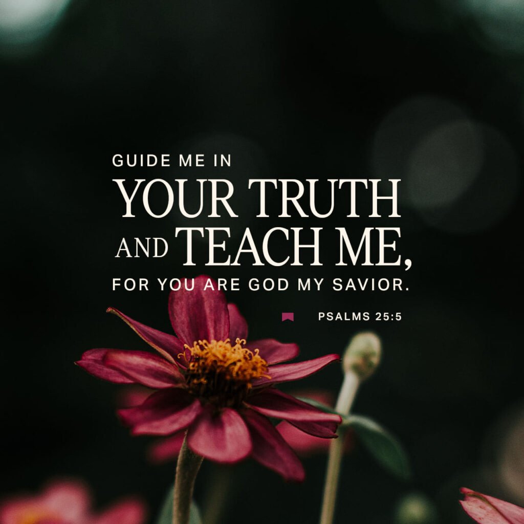 “Guide me in your truth and teach me, for you are God my Savior, and my hope is in you all day long.” -Psalm 25:5 (NIV)