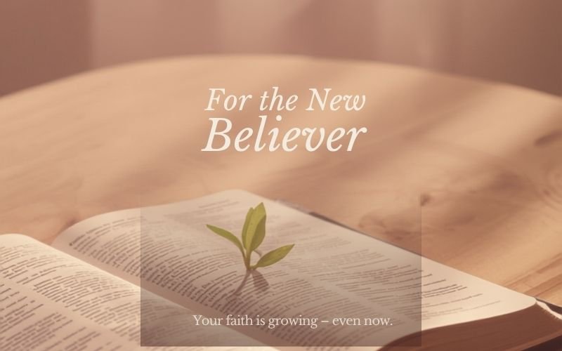 new believer reading Bible growing in faith